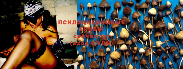 кокс Кулебаки