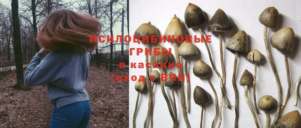 кокс Кулебаки