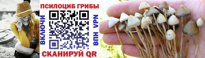 купить наркотики цена  Мелеуз  Галлюциногенные грибы прущие грибы 